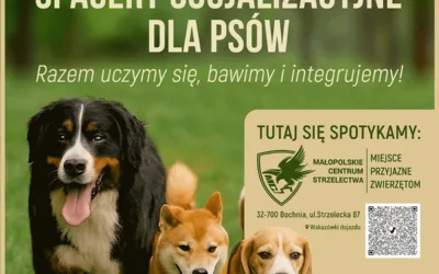 Spotkanie socjalizacyjne dla psów – 6 września 2025